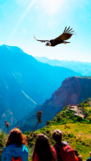 Mirador de la Cruz and flight of the Andean condor