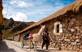 tours al colca desde arequipa